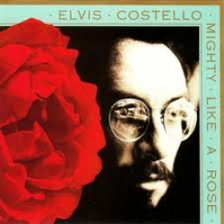 Elvis Costello - Mighty like a rose